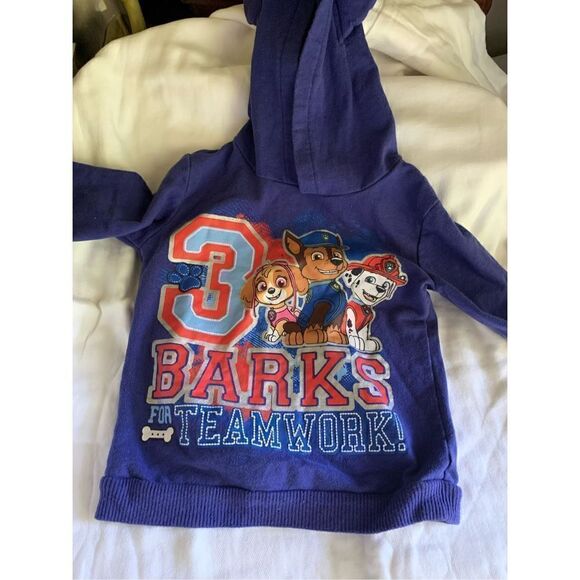 Paw Patrol Hoodie - Picture 1 of 6